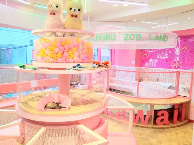 動物カフェ 原宿かわいい動物園