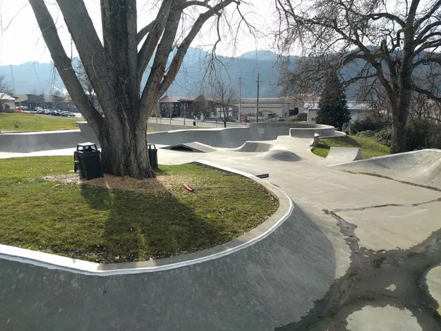 Bingen Skate Park