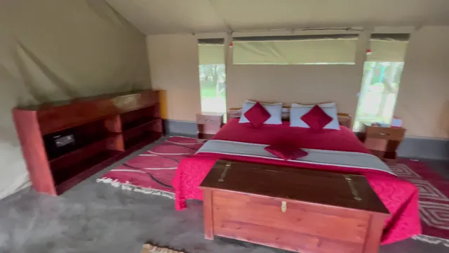 Hammerkop Migration Camp