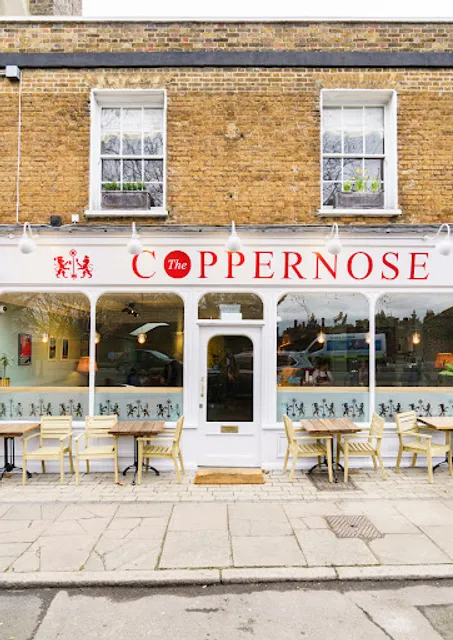 The Coppernose