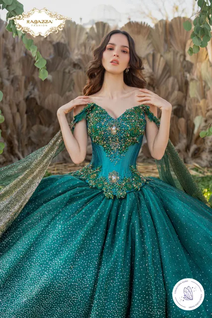 My Dream & more Brownsville