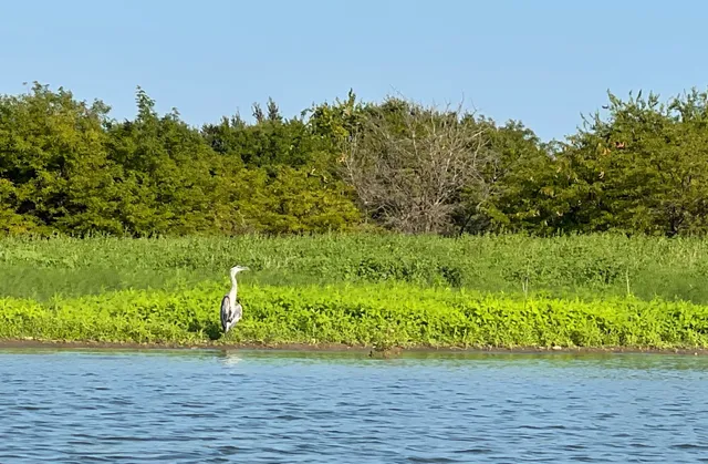 The Colony's Lakeshore Trail