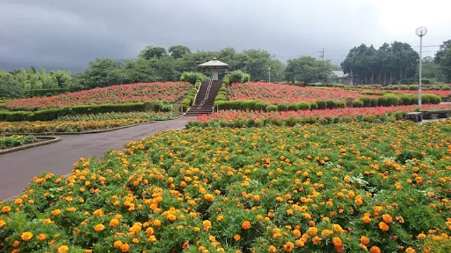 Ariakenomori Sports Park