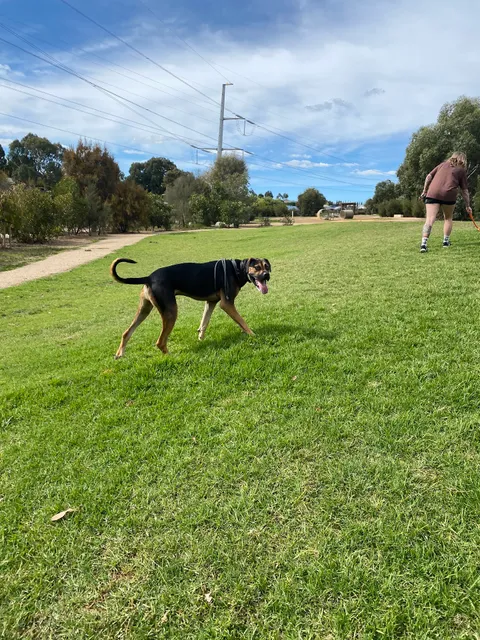 "Barka Park" Dog Park