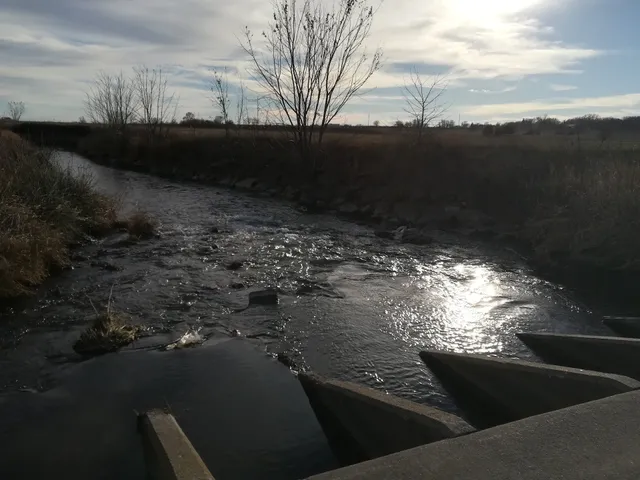 Mill Creek Concessions
