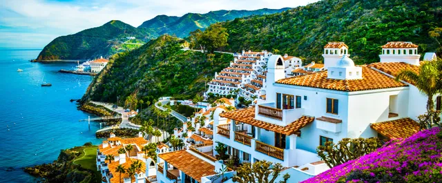 Hamilton Cove Real Estate and Vacation Rentals