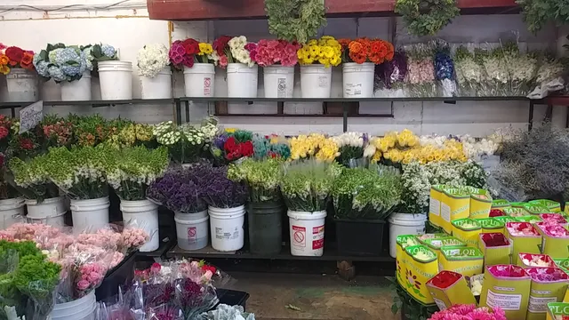 G and J Flower Distributors Inc.