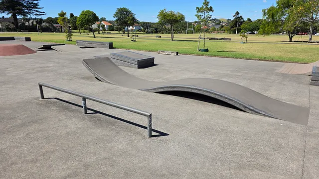 Owairaka Skatepark