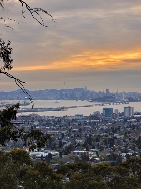 Berkeley Overlook Vista Point
