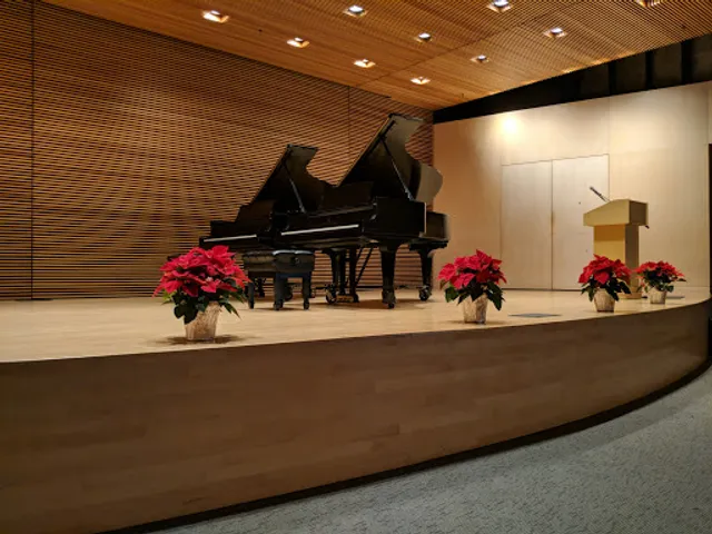 Community School of Music and Arts