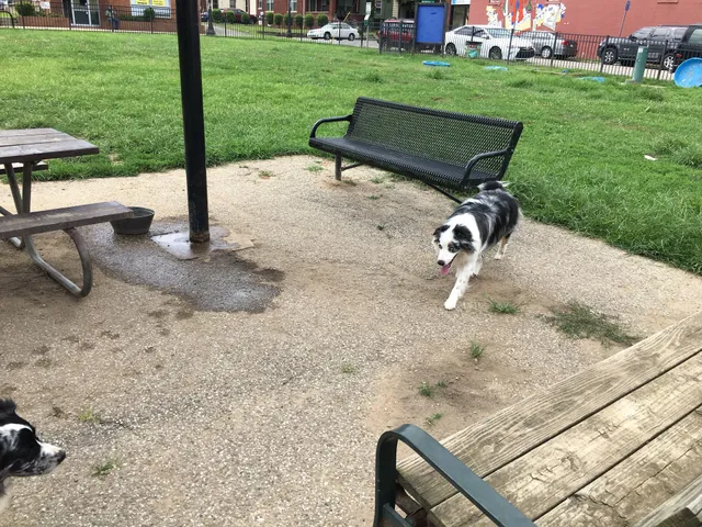 Ruth Rafferty Peyton Dog Park