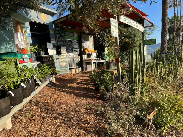 Fred&#x27;s Urban Farm- Microgreens