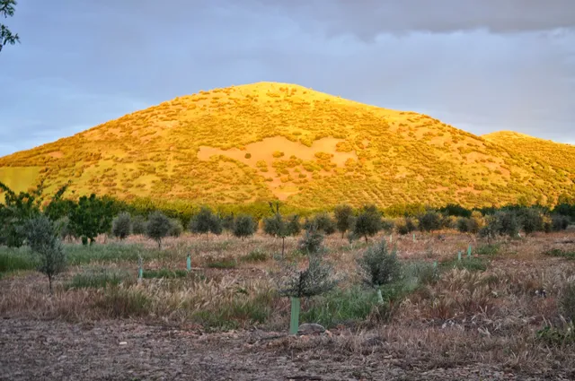 La Finka - Agroturismo La Finka