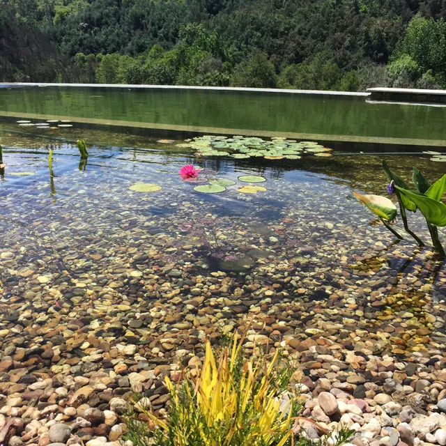 Cara Creek Eco Lodge