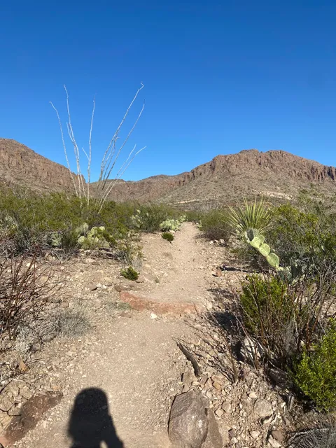 Mule Ears Viewpoint