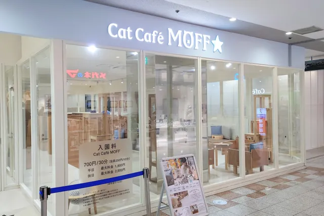 Cat Café MOFF Tsukashin