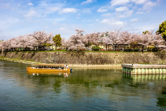 Okazaki Sakura Corridor