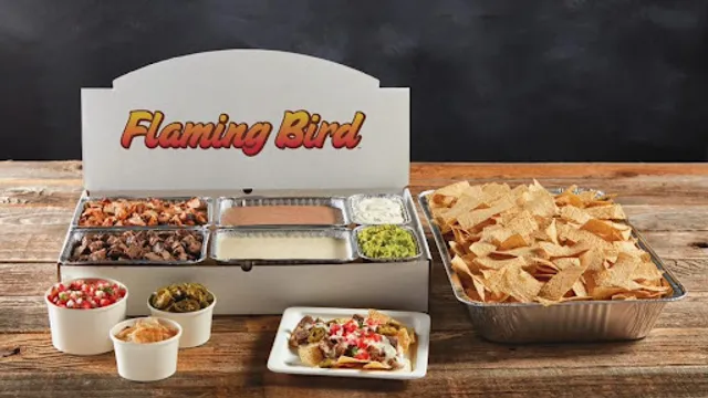 Flaming Bird By H-E-B