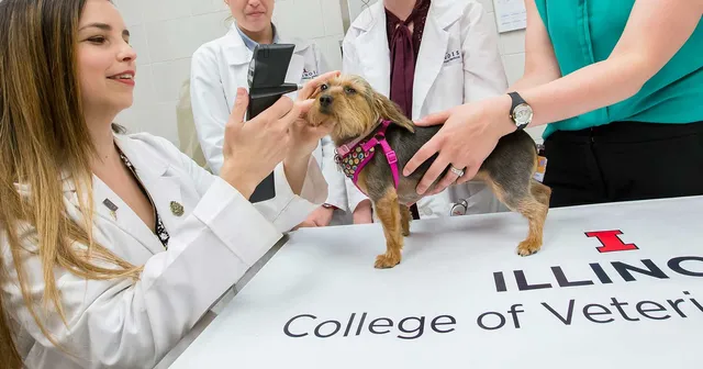 University of Illinois Veterinary Teaching Hospital