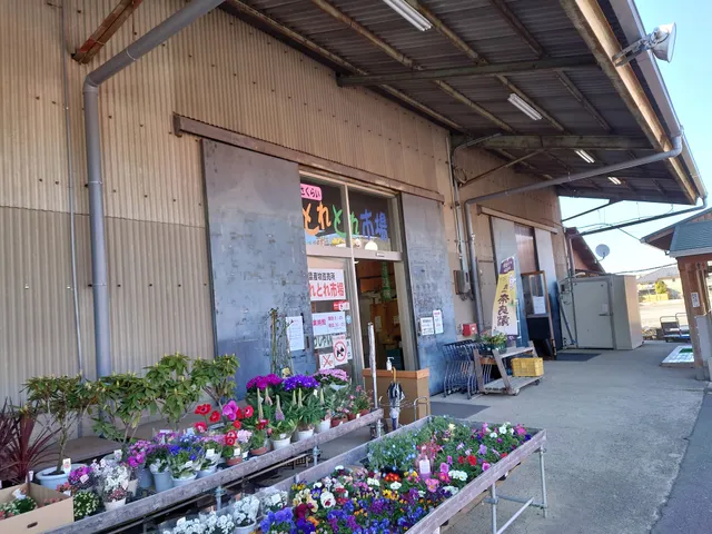 Sakuraitoretore Market