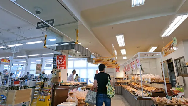 Francois Shinrintosi