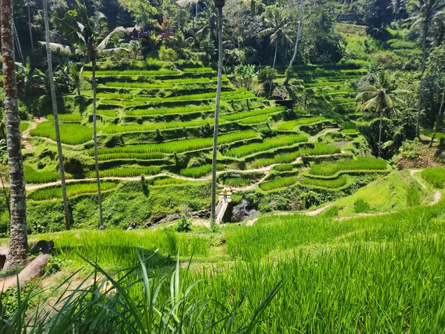 Uma Ceking Bamboo Bridge