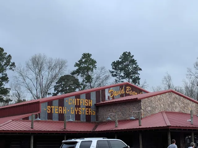 David Beard's Catfish King