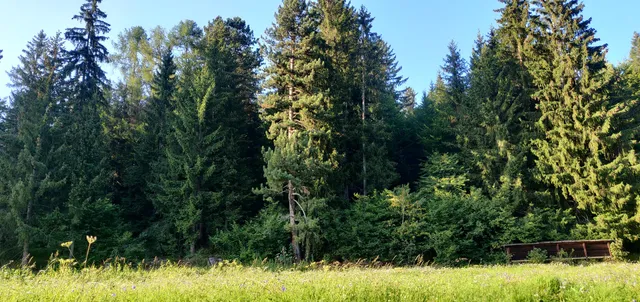 Impianti risalita Monte Nock