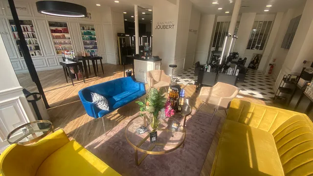 Jean Marc Joubert - Louvre