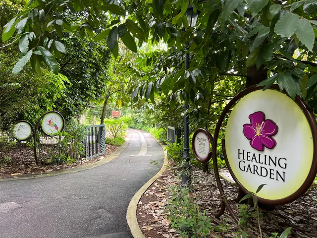 Healing Garden