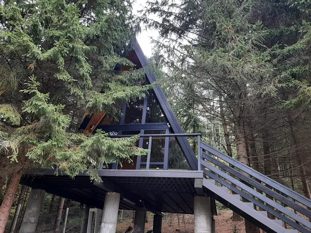 Cabana Cuib de Vultur