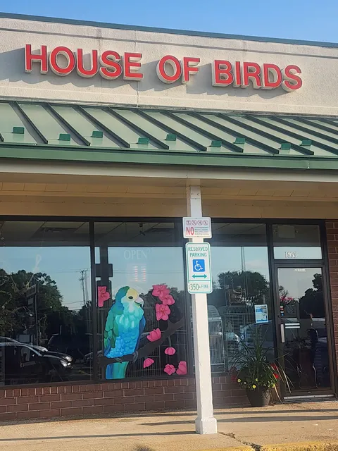 House of Birds