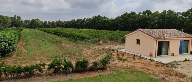 B&B Doni del Mandorlo l'Alguer