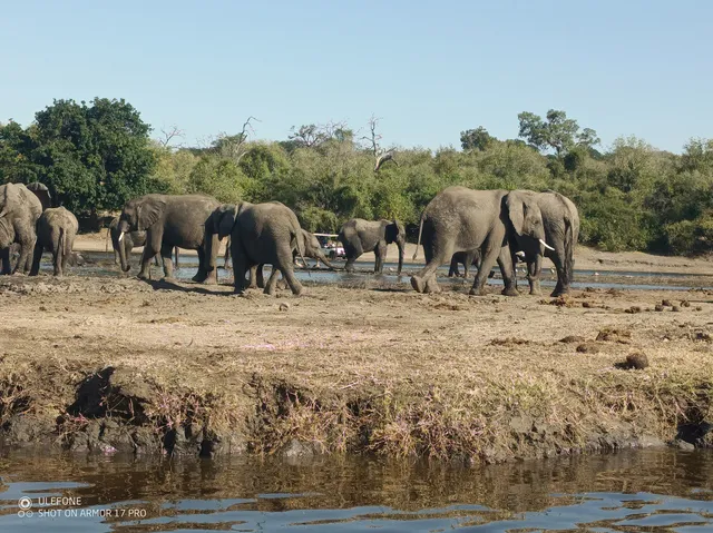 Chobe National Park