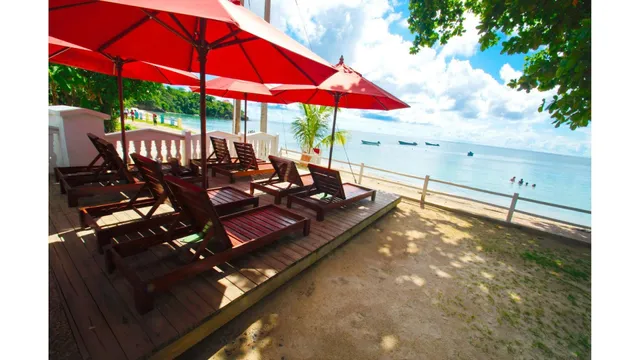 Miss Mary - Afiliado a Decameron