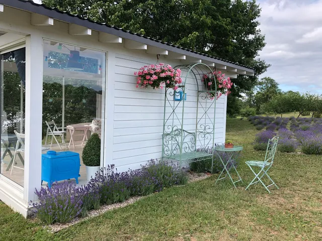 Lavender Village Lithuania