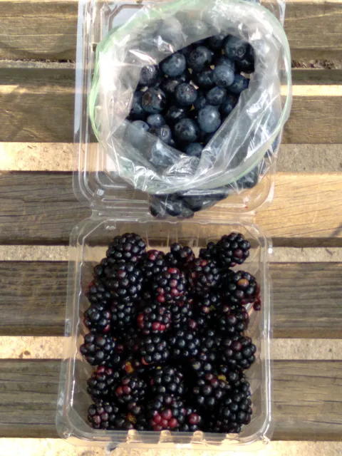 Yadkin Farmers Market