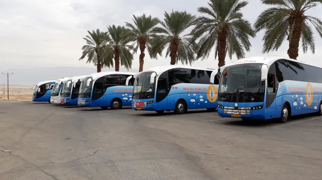 מטיילי ים המלח בע"מ DEAD SEA TOURS LTD