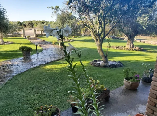 Agriturismo Su Sattisceddu