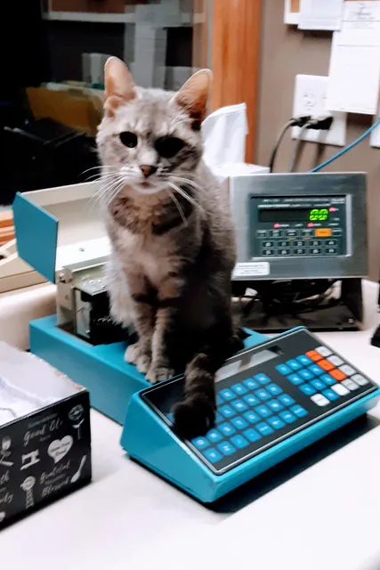 Co-Op Elevator of Mc Clusky