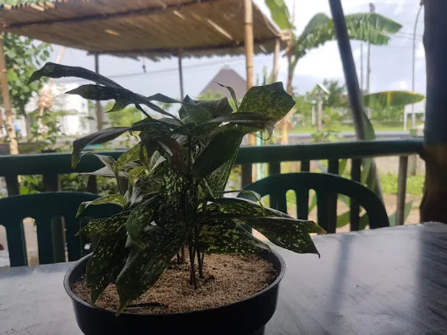 The H&M Bar and Restaurant