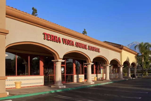 Terra Vista Animal Hospital