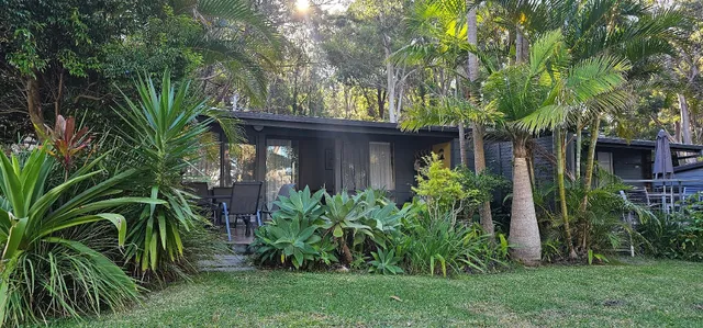 Sandpiper on Smiths Lake
