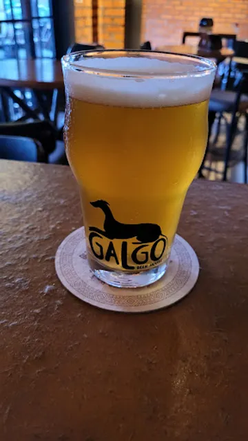 Galgo Beer House Chapecó