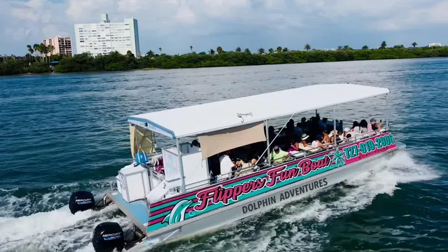 Flippers Fun Boat Clearwater - #1 Dolphin Tour