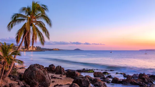 Maui Condo and Home, LLC.