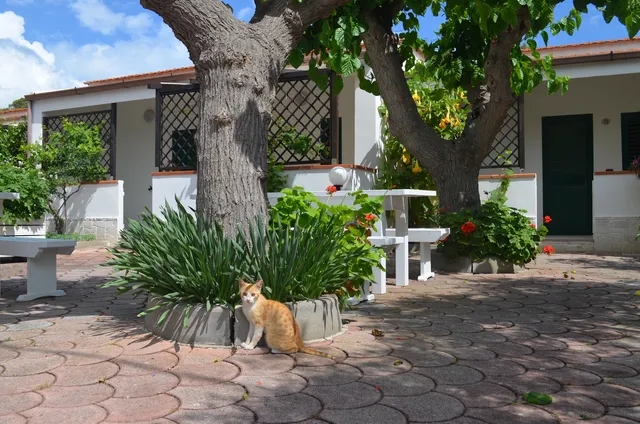 Residence Rendez Vous