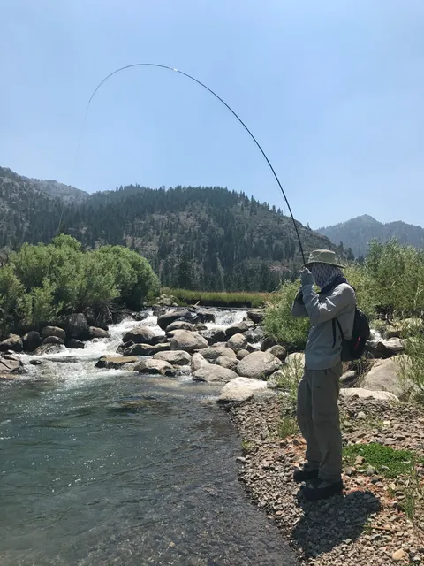 Alpine Fly Fishing Services