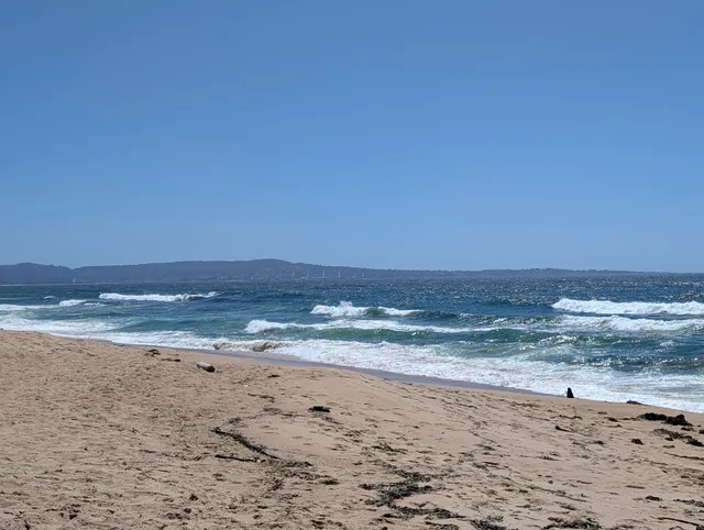 Marina Dunes Preserve