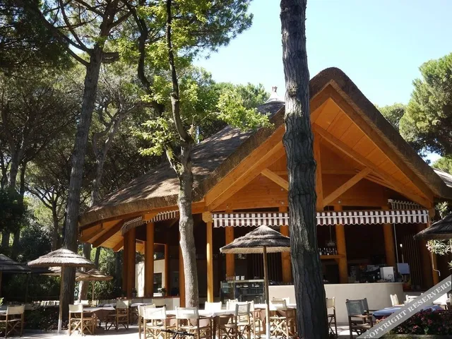 Mare e Pineta Camping